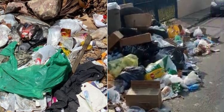 Lixeiras irregular no Crespo