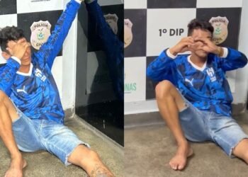 'Mickey Mouse' do crime