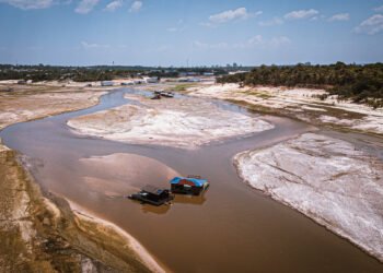 Seca no Rio Negro