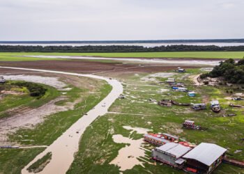 Seca no lago do Aleixo