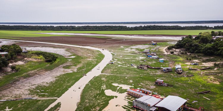 Seca no lago do Aleixo