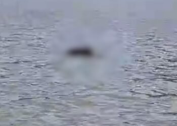 corpo-porto-manacapuru