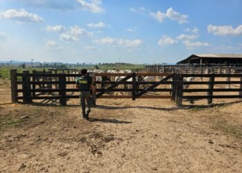 frigorificos-embargos-ibama