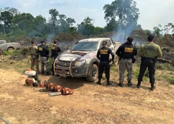 pf-combate-queimadas-desmatamento-amazonas