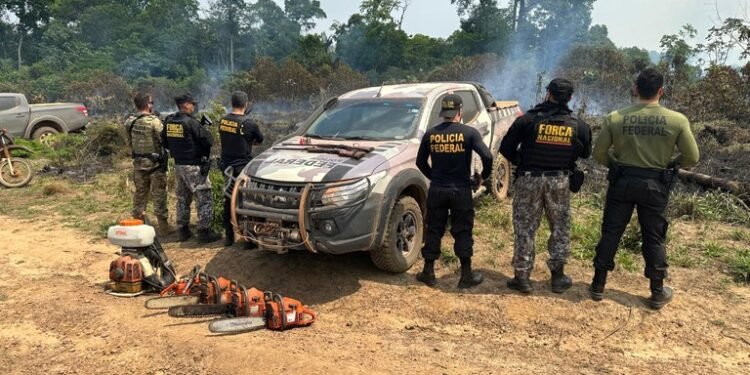 pf-combate-queimadas-desmatamento-amazonas