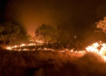 Brasil reduz em 12% emissões de gases do efeito estufa em 2023