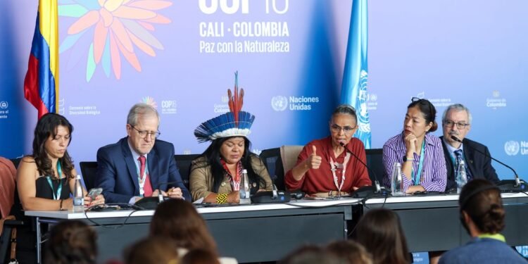 COP16 cria órgão para atender povos indígenas e quilombolas