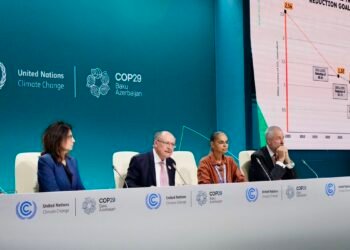 Brasil é segundo país a entregar meta de emissões na COP29