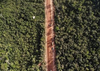 BR-319 deve ter recapeamento definitivo, garante Lula (Divulgação/Observatório BR-319)