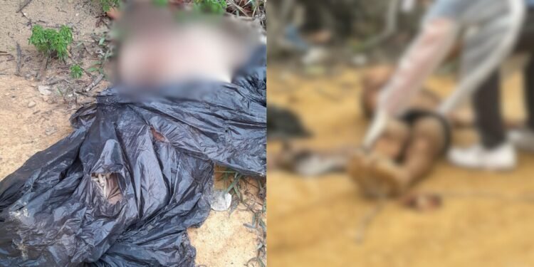 Corpo é encontrado no ramal do Brasileirinho
