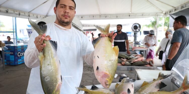 Edição especial do Feirão do Pescado e Feira de produtos regionais ocorrem nesta semana