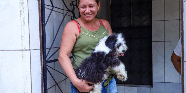 Saúde animal: 95 mil cães e gatos são vacinados em Manaus