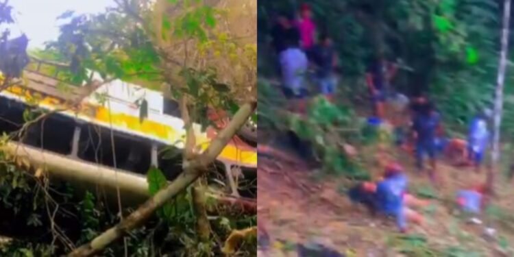 Ônibus cai de ribanceira em Alagoas e deixa 18 pessoas mortas (Foto: Reprodução/ internet)