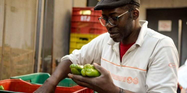 Aliança Global é crucial para promovermos políticas inclusivas, defende Instituto Fome Zero