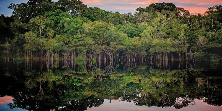 Manaus sedia abertura da 2ª Semana Nacional da Regularização Fundiária - Solo Seguro Amazonas
