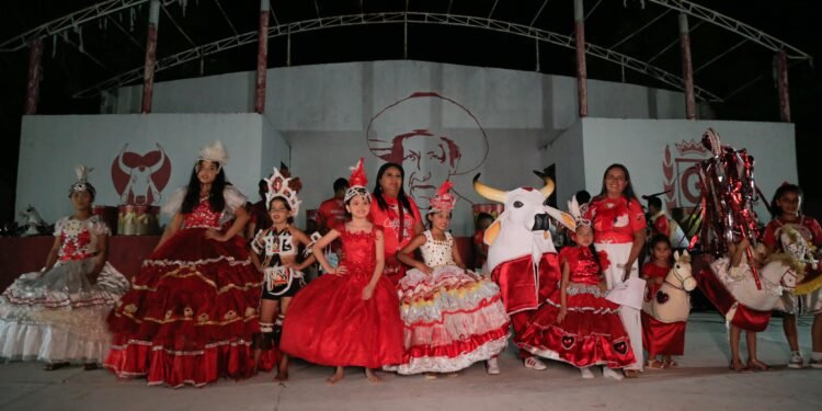 consciencia-negra-garantido