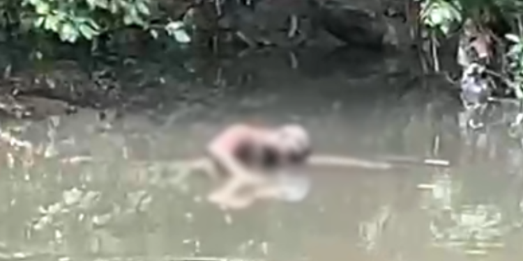 Corpo é encontrado em decomposição no igarapé do Mindu (Foto: Reprodução/ Internet)