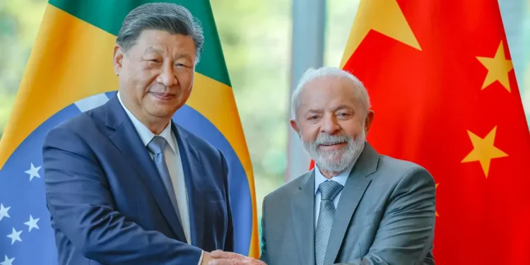 lula-xi