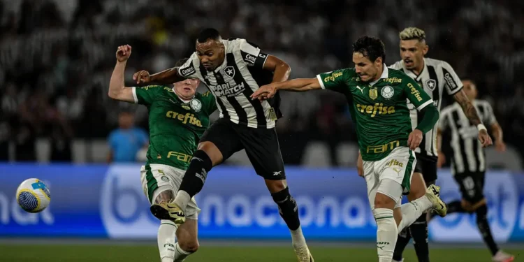 palmeiras-botafogo
