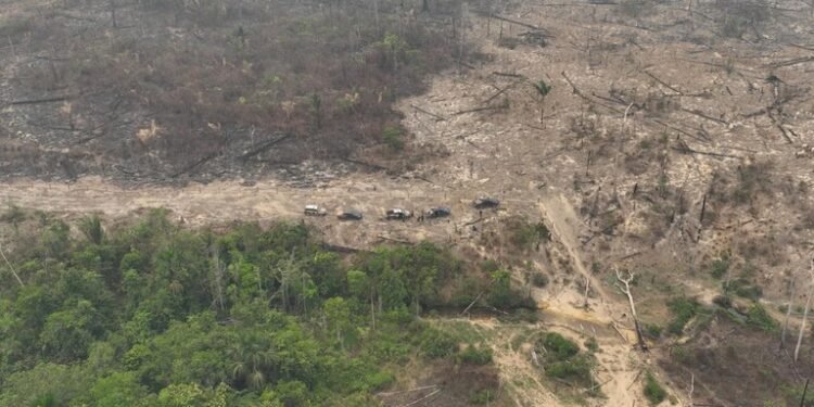 pf-desmatamento-amazonas