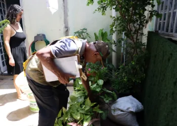 Dia D combate focos de mosquito da dengue em todo o país