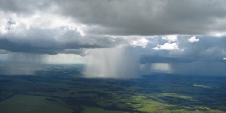 Amazonas tem 'alerta amarelo' para chuvas intensas; especialista avalia