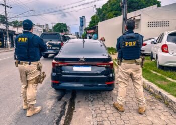 Motorista é preso na BR-319 por estar em veículo roubado