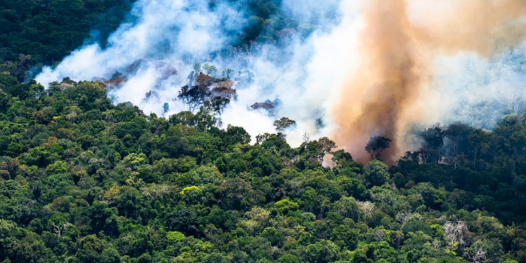 Barreirinha e Silves tem qualidade do ar moderada; especialista avalia