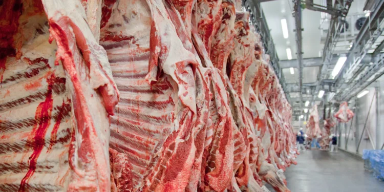 Brasil pode mais que dobrar exportação de carne bovina com acordo Mercosul-UE, diz Agrifatto