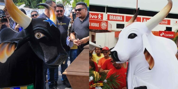 Bois Caprichoso e Garantido em homenagens a Juarez Lima (Fotos: Pedro Coelho e Sérgio Cole)