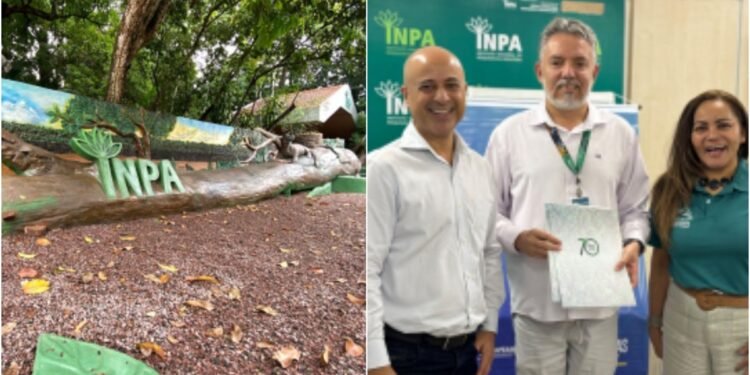 Inpa faz balanço de 2024 e estabelece metas para o próximo ano