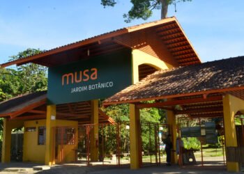 Musa oferece promoção para todo o mês de dezembro