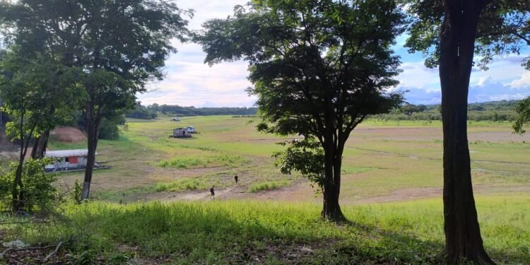 Seca extrema segue no lago do Manacapuru (Foto: Reprodução/Morador)