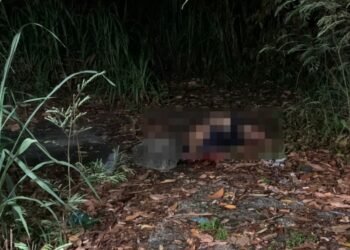 Homem é morto a pedradas e jogado em área de mata na zona Centro-Sul de Manaus