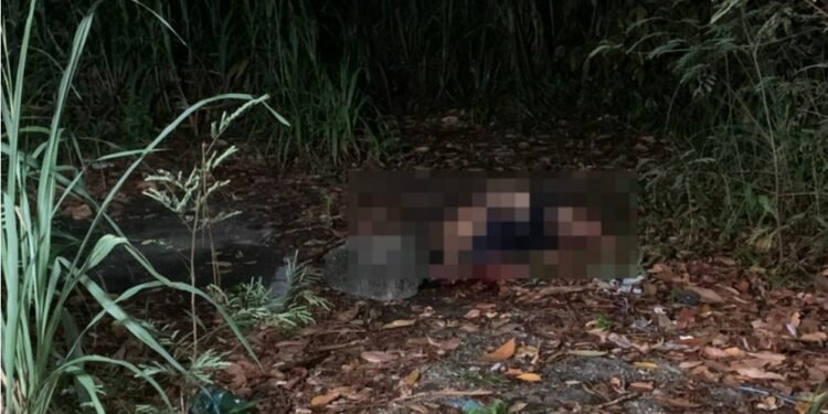 Homem é morto a pedradas e jogado em área de mata na zona Centro-Sul de Manaus