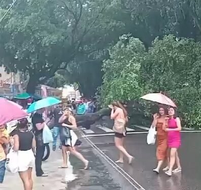 Árvore cai no Centro de Manaus e avenida Epaminondas é totalmente bloqueada