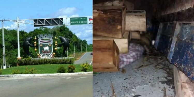 Jovem morre esmagado por carga de madeira em acidente em Novo Airão
