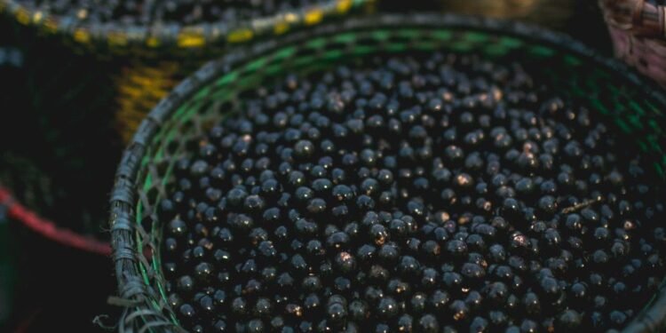 acai