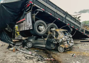 Polícia Civil identifica 15 corpos de vítimas de acidente na BR-116
