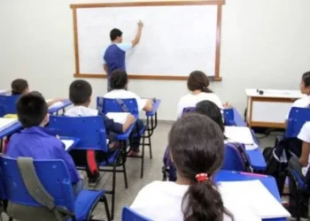 Seduc divulga calendário de matrículas da rede municipal e estadual para 2025