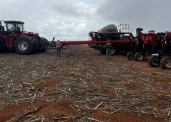 Desmatamento ilegal no Cerrado gera R$ 206 milhões em multas