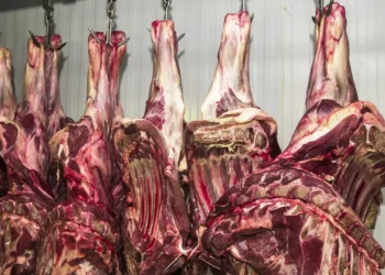 China abre investigação sobre importação de carne bovina