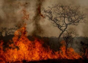 Desastres climáticos aumentaram 250% nos últimos quatro anos no país