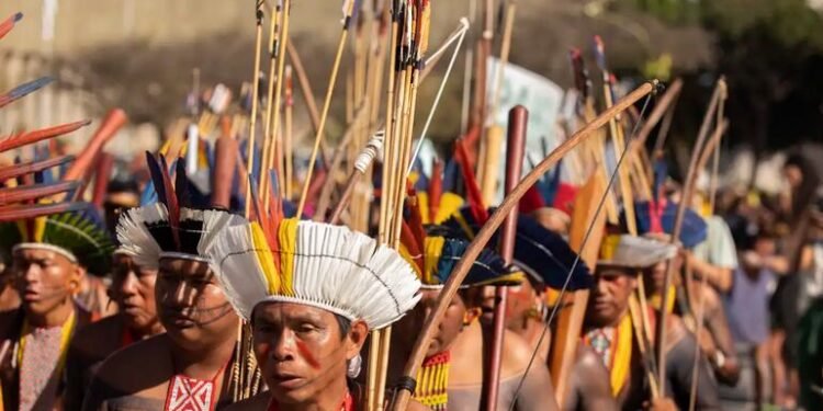 indigenas-brasil