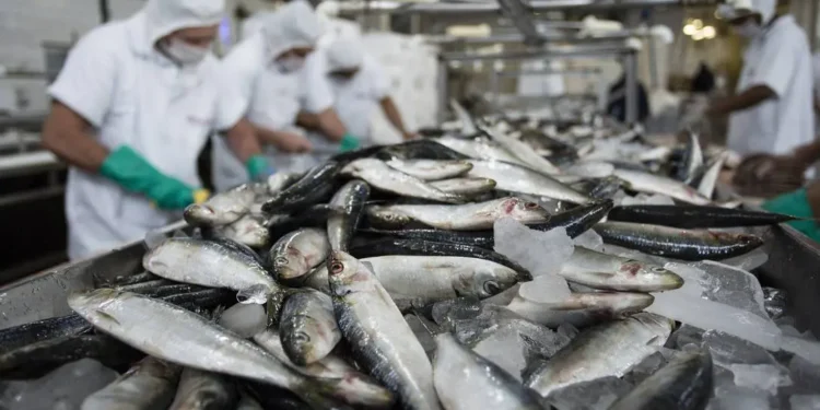 peixes-pesca-cativeiro