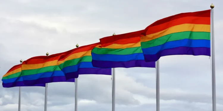 Serviço público uniformiza coleta de dados da população LGBTQIA+