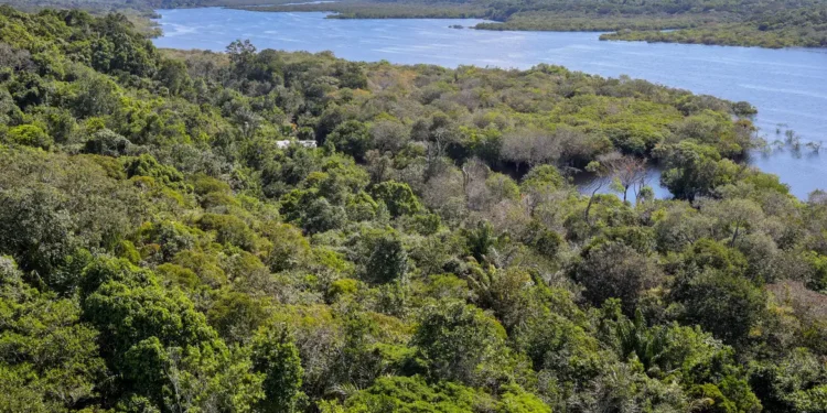 Conflito por território é principal gerador de violência na Amazônia