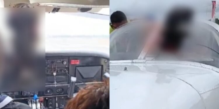 Urubu colide contra aeronave que pousava em Eirunepé, no interior do AM (Fotos: Reprodução/ internet)