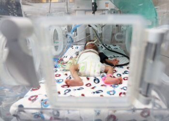 Taxa de nascimentos prematuros do Brasil está acima da média global