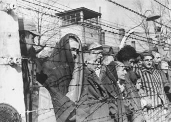 Sobreviventes de Auschwitz espiam através do arame farpado do campo (Foto: US Holocaust Memorial Museum)